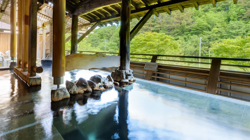Shinappi Onsen Seiryukaku