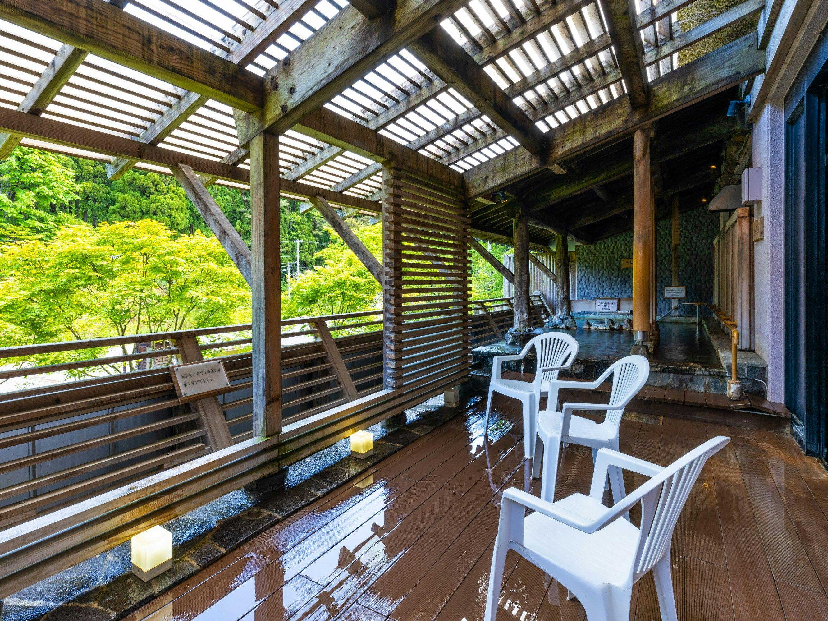 Shinappi Onsen Seiryukaku