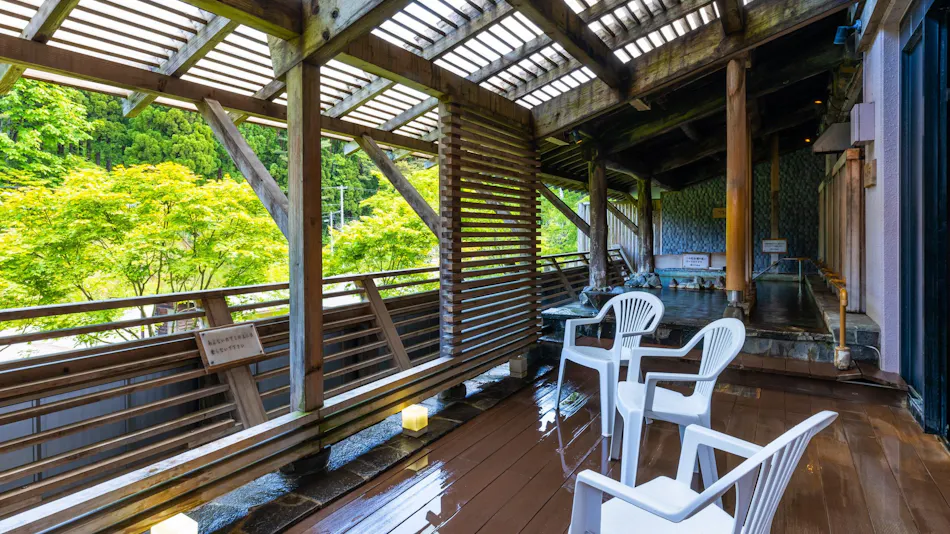 Shinappi Onsen Seiryukaku