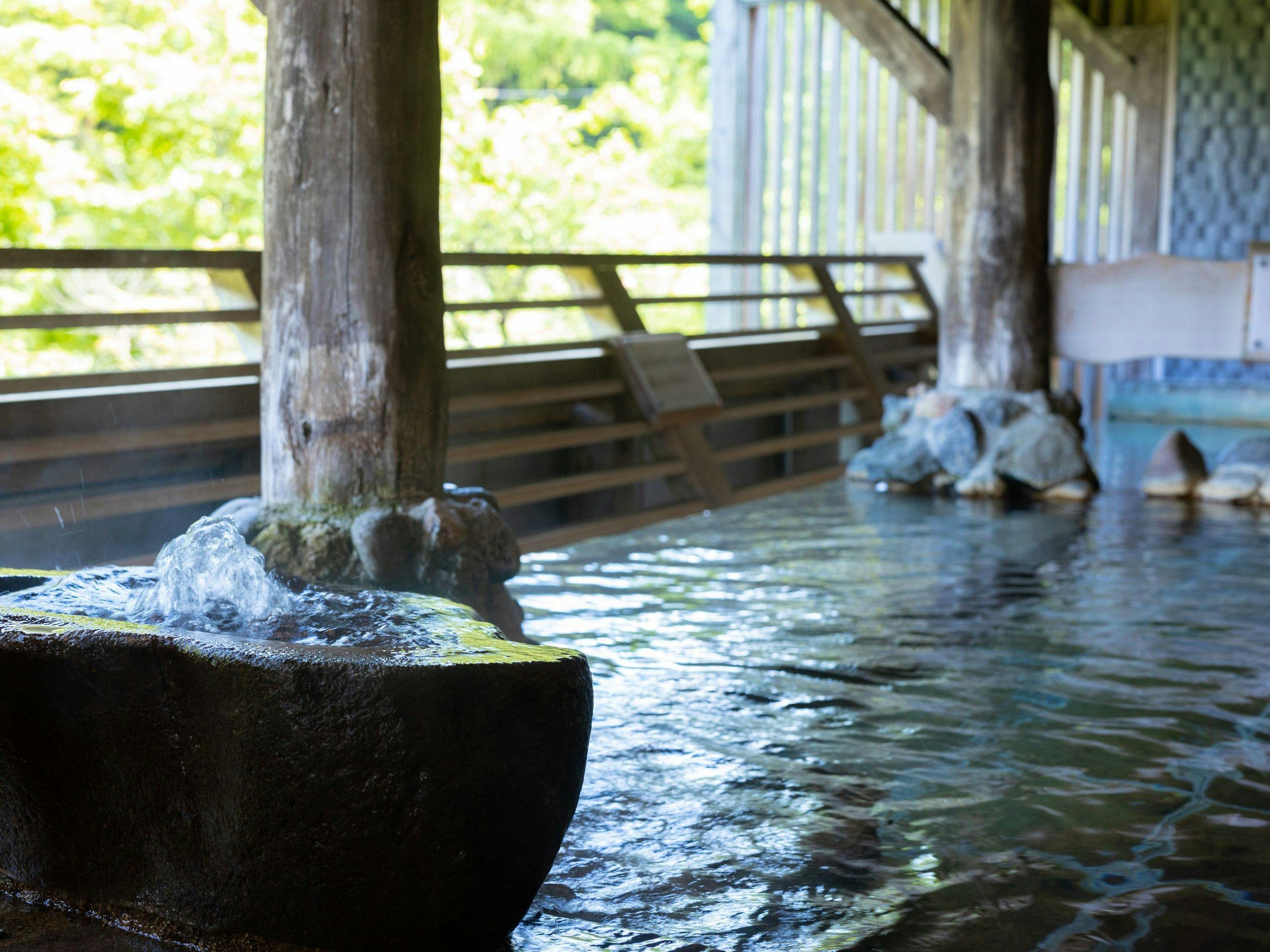 Shinappi Onsen Seiryukaku