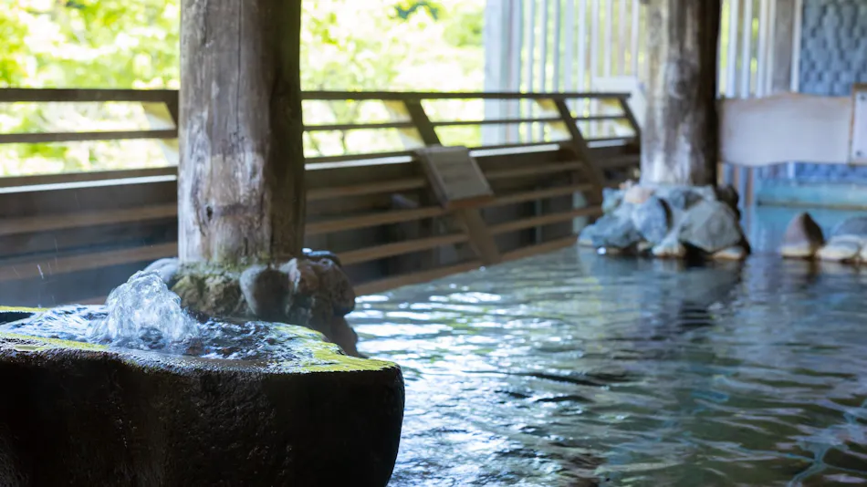 Shinappi Onsen Seiryukaku