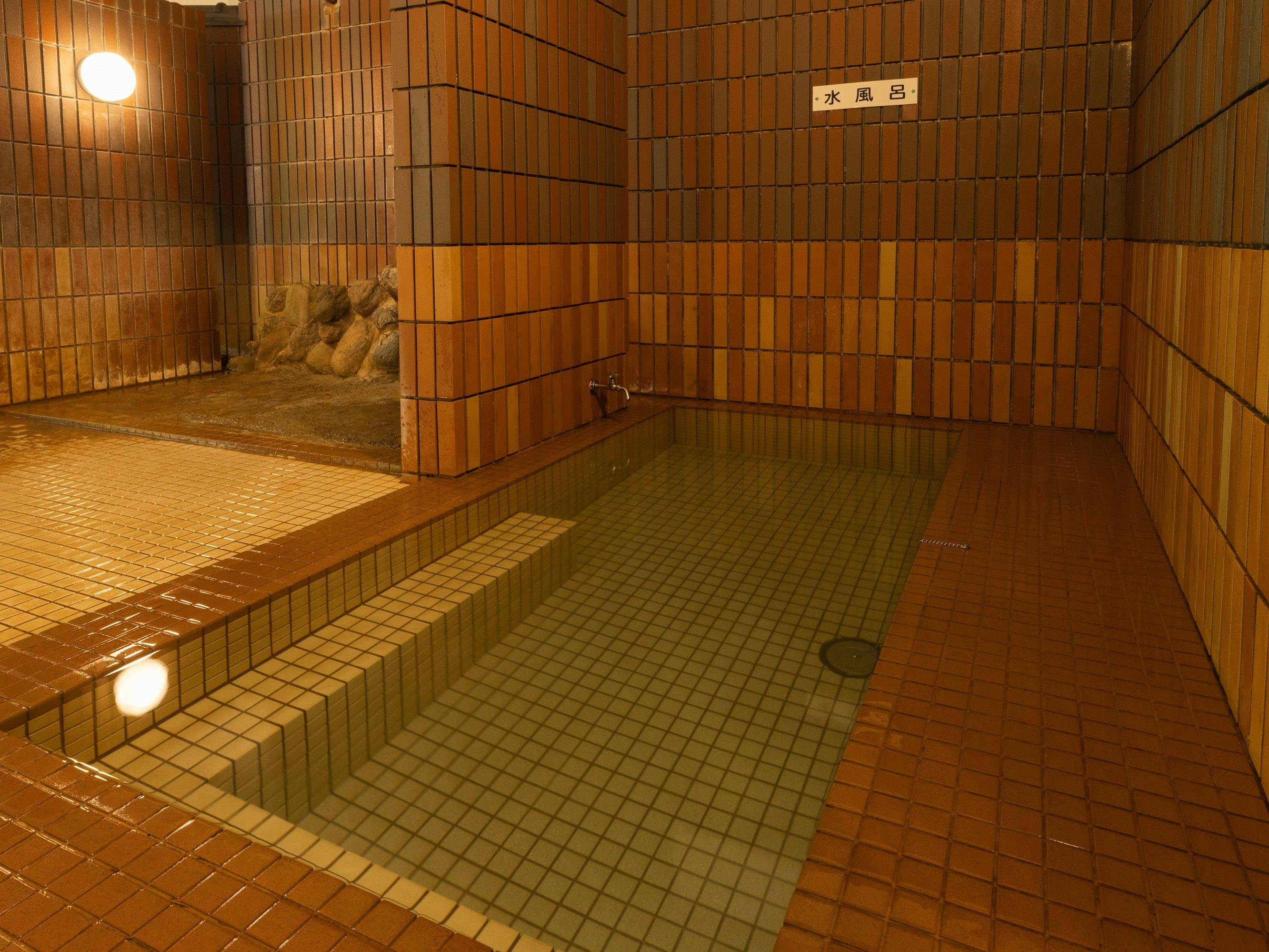 Shinappi Onsen Seiryukaku