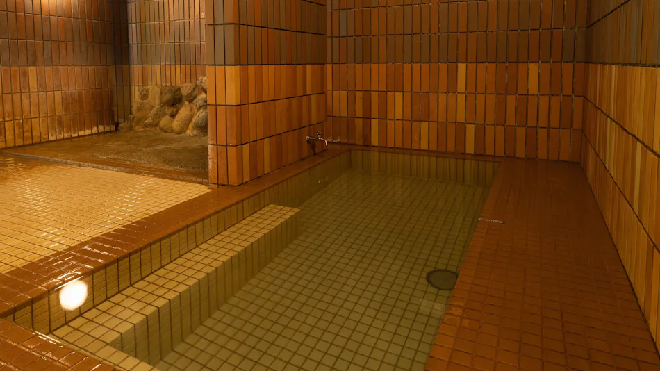Shinappi Onsen Seiryukaku