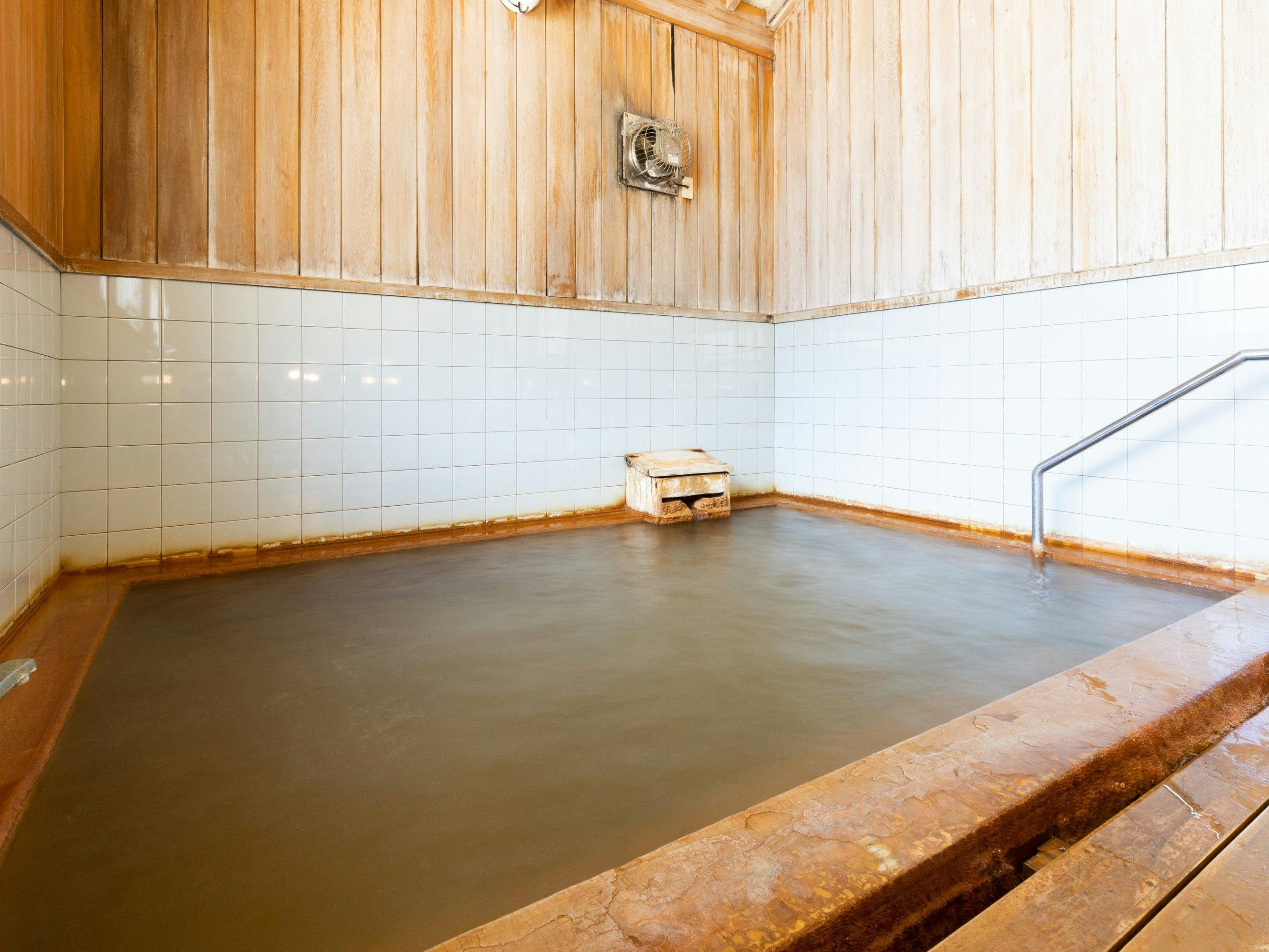 Shinappi Onsen Seiryukaku