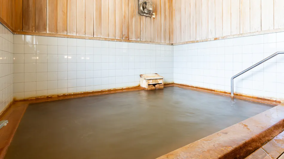 Shinappi Onsen Seiryukaku