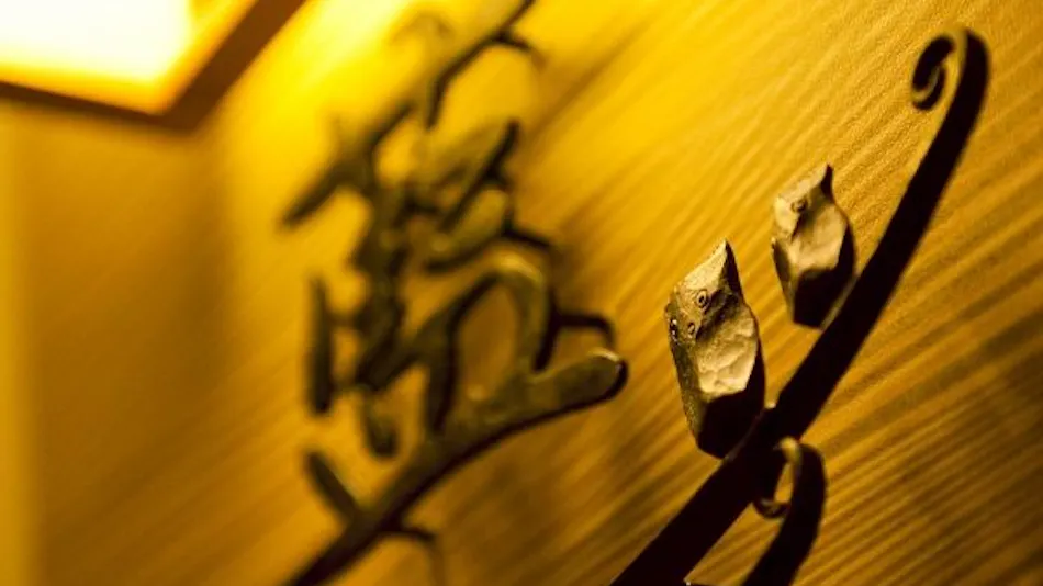 Shinappi Onsen Seiryukaku