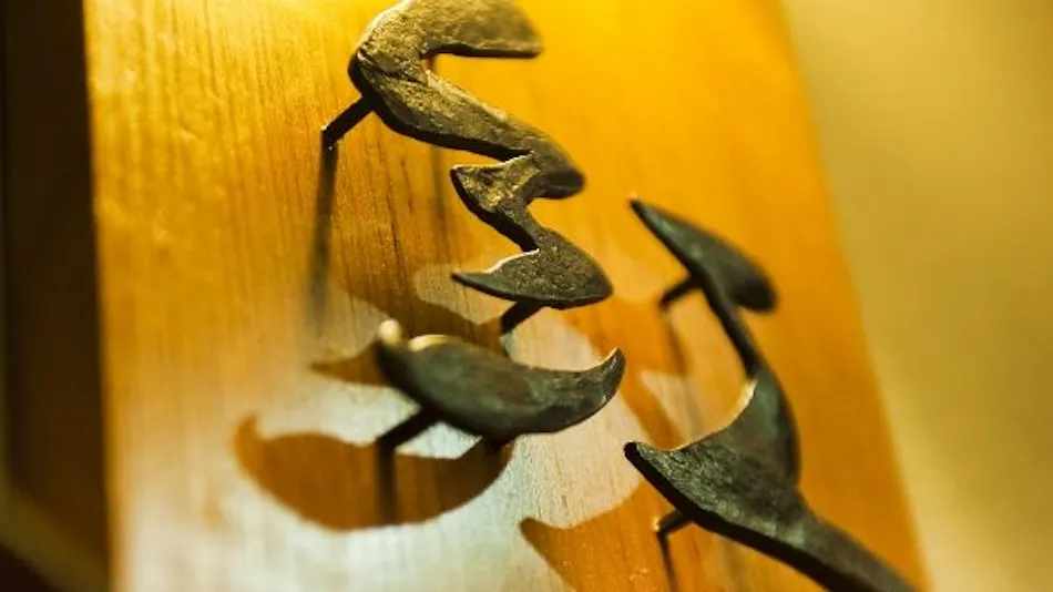 Shinappi Onsen Seiryukaku