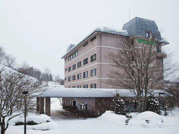 Shinappi Onsen Seiryukaku