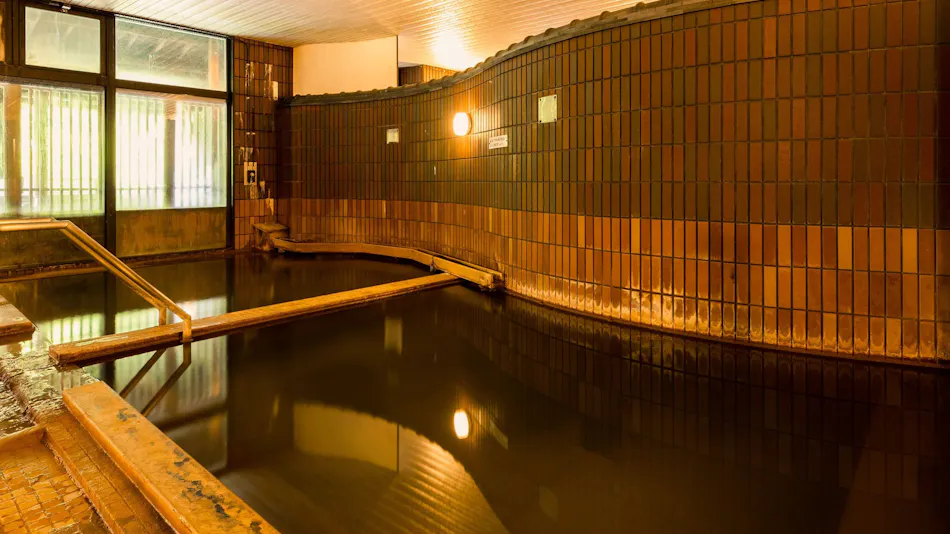 Shinappi Onsen Seiryukaku