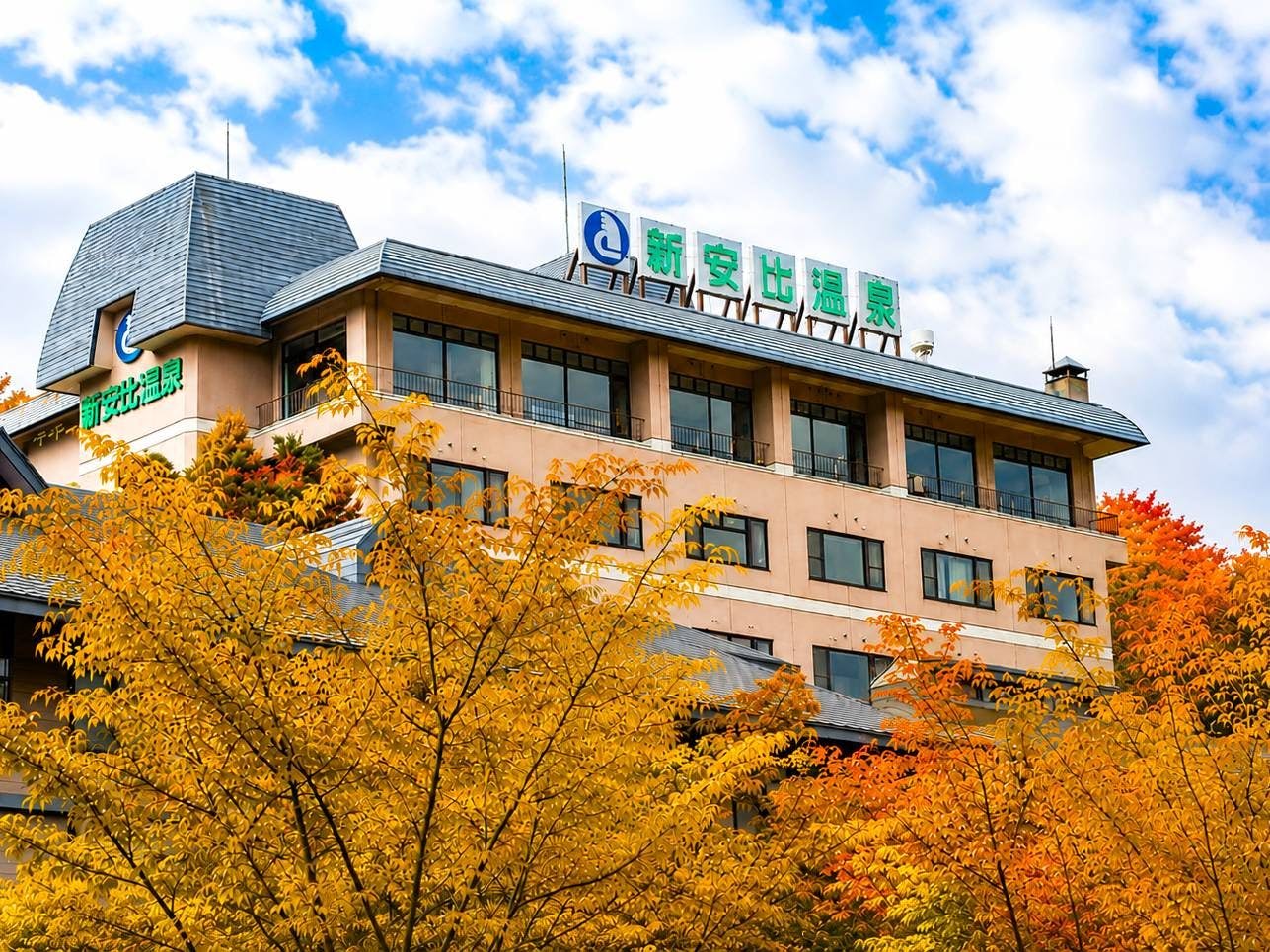 Shinappi Onsen Seiryukaku