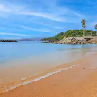 หาดวากุซันไชน์