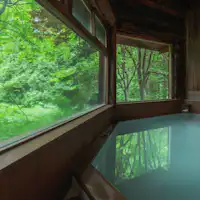 น้ำพุร้อนพร้อมห้องอาบน้ำที่สร้างจากไม้ซุง