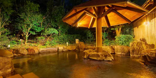 Ooedo Onsen Monogatari Premium Seiunkaku