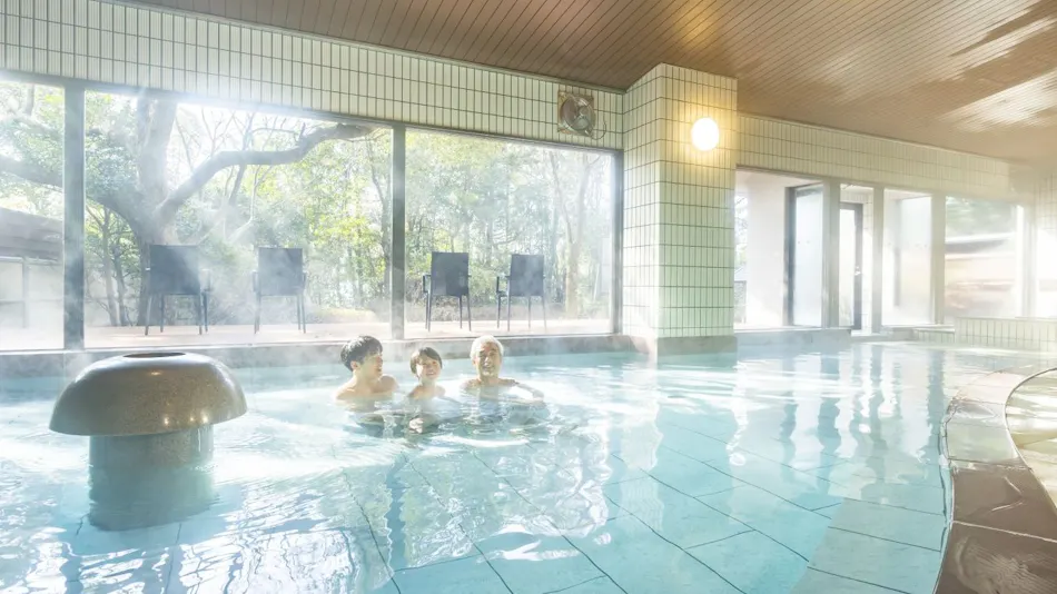 Ooedo Onsen Monogatari Premium Seiunkaku