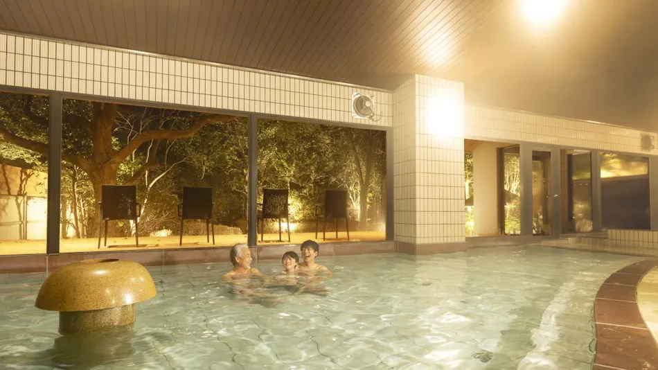 Ooedo Onsen Monogatari Premium Seiunkaku