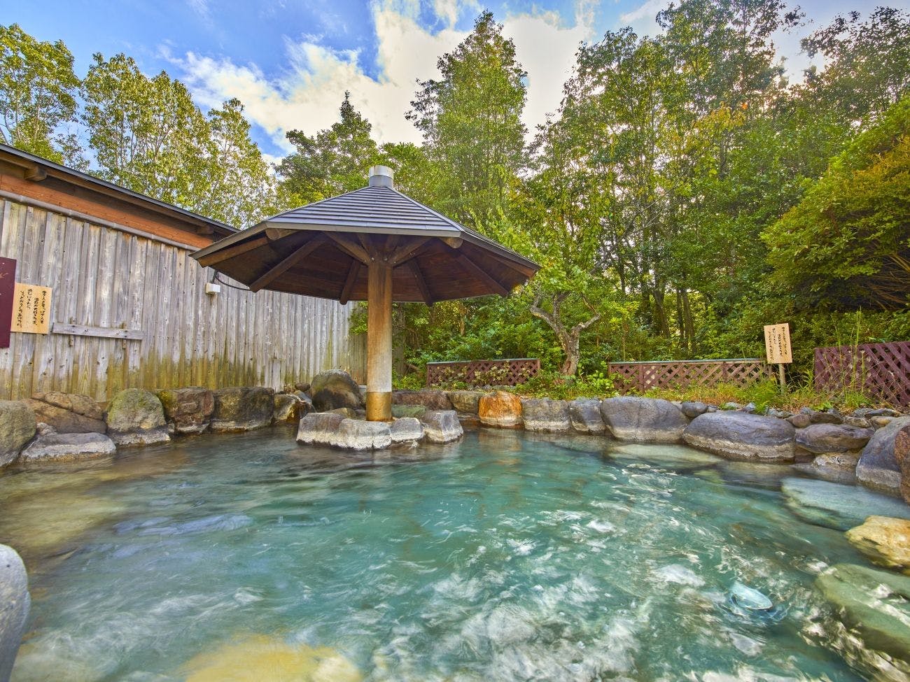Ooedo Onsen Monogatari Premium Seiunkaku