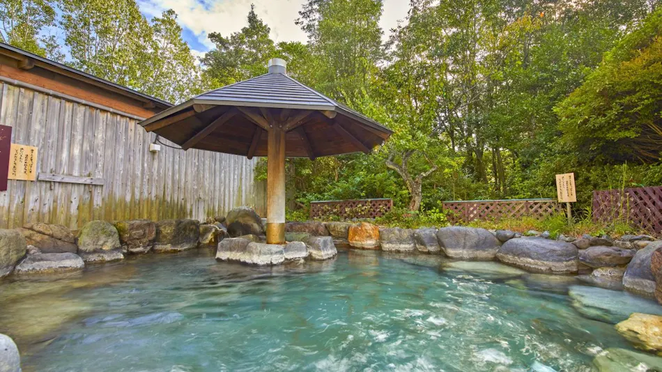 Ooedo Onsen Monogatari Premium Seiunkaku