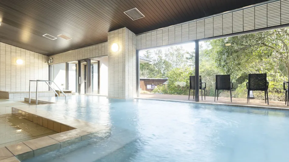 Ooedo Onsen Monogatari Premium Seiunkaku