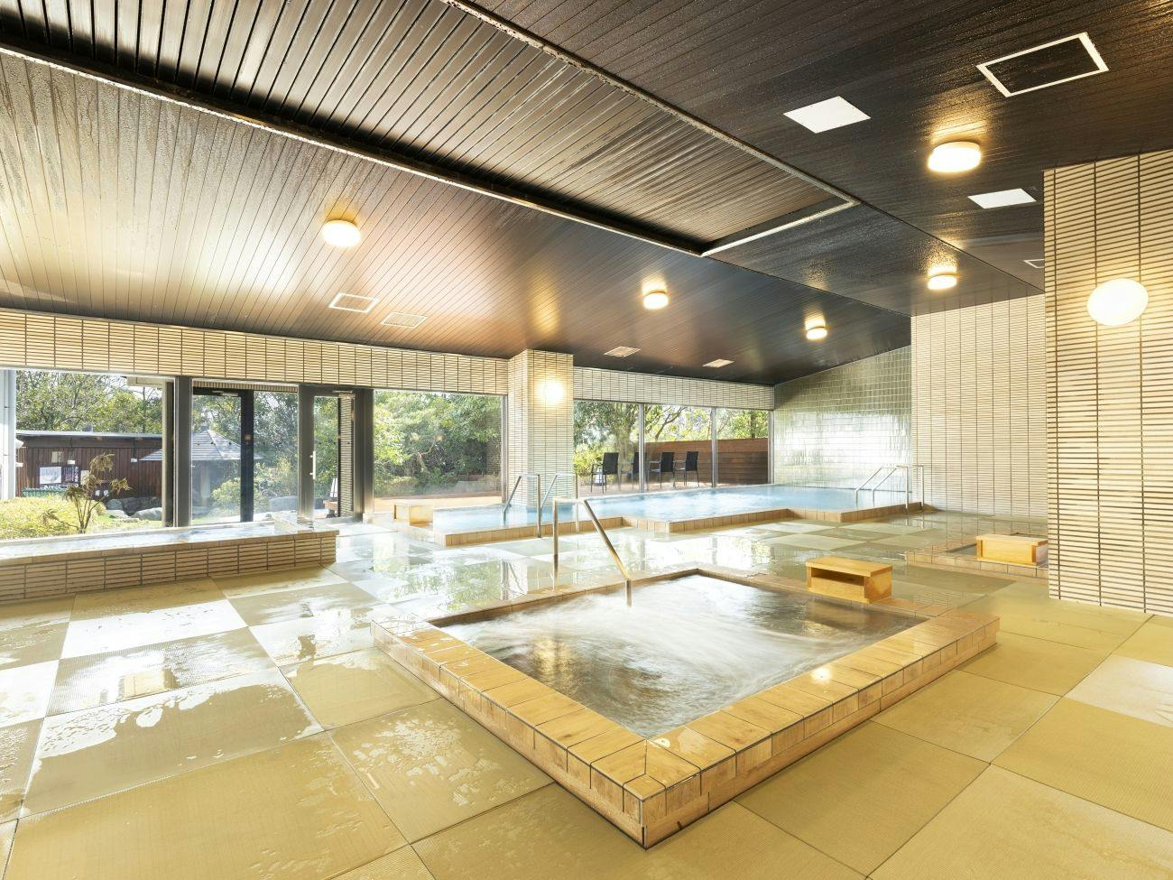 Ooedo Onsen Monogatari Premium Seiunkaku