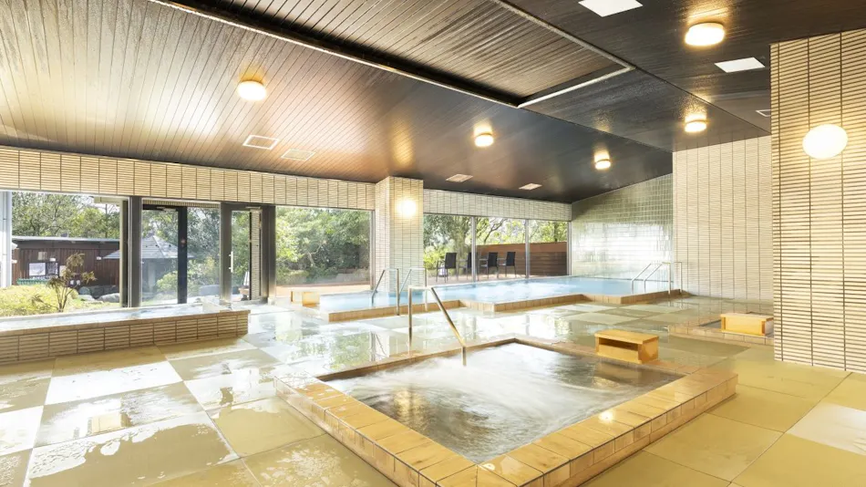 Ooedo Onsen Monogatari Premium Seiunkaku