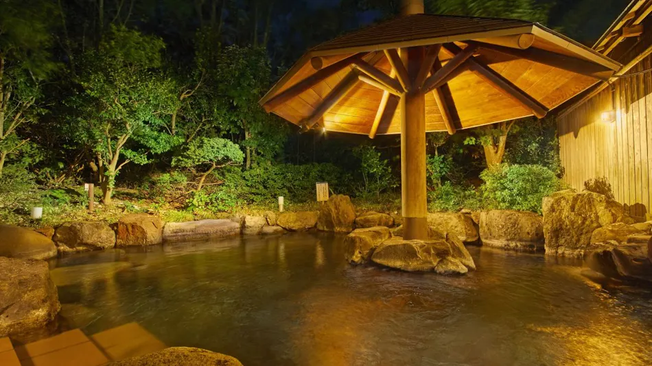 Ooedo Onsen Monogatari Premium Seiunkaku