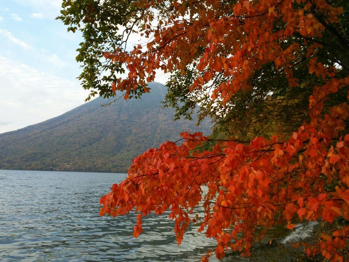 ใบไม้เปลี่ยนสีที่ทะเลสาบชูเซ็นจิ
