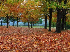休暇村　蒜山高原