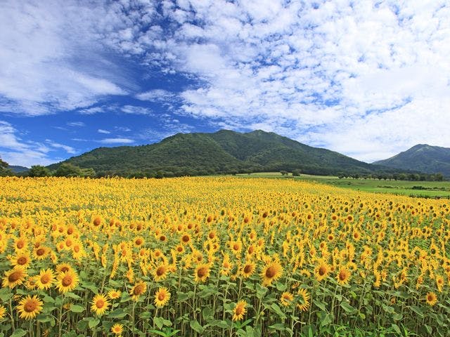 Kyukamura Hiruzen Kogen