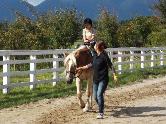 马术公园骑马体验