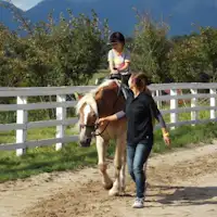 马术公园骑马体验