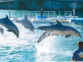 西伊豆松崎伊東園ホテル