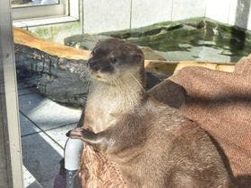 西伊豆松崎伊東園ホテル