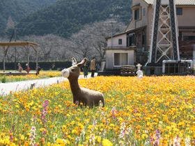 西伊豆松崎伊東園ホテル