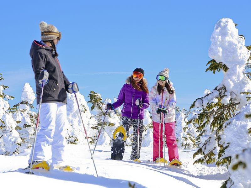 ท้องฟ้าสีครามในฤดูหนาว