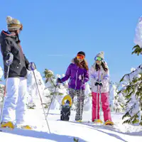 ท้องฟ้าสีครามในฤดูหนาว