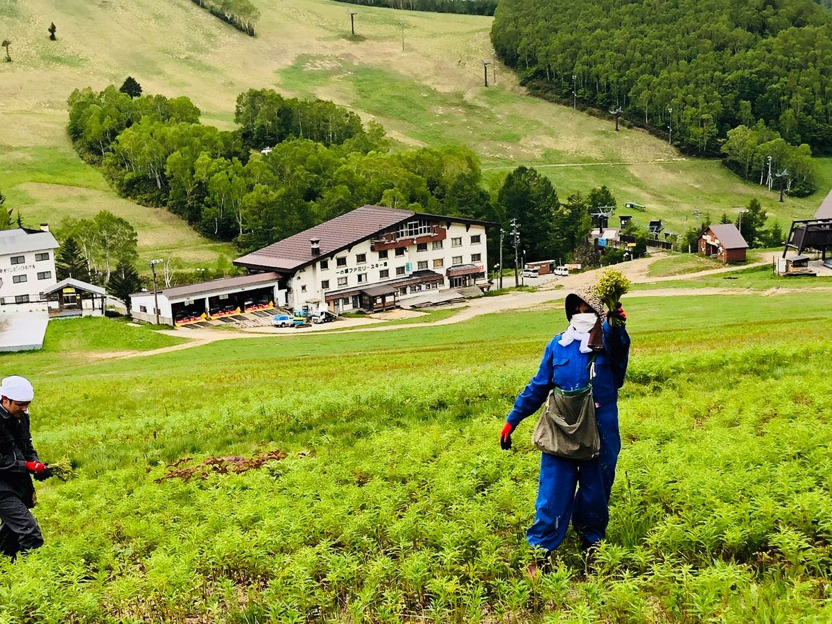 เก็บเกี่ยวได้แล้ว!