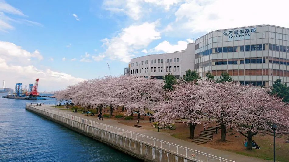 Yokohama Minato Mirai Manyo Club