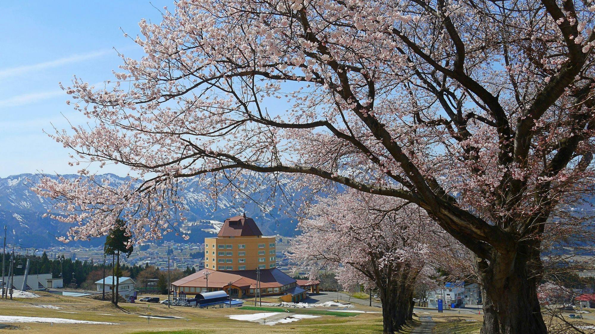 Maiko Kogen Hotel