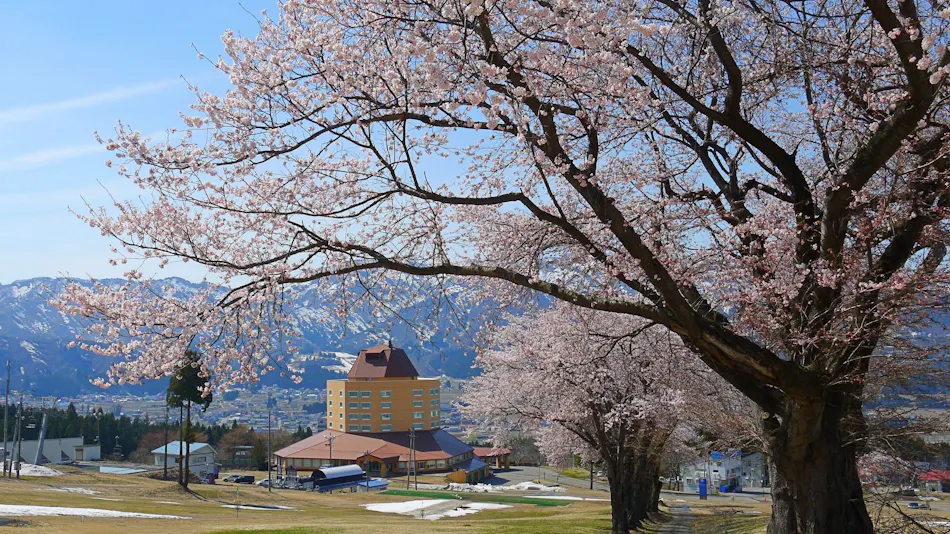 Maiko Kogen Hotel