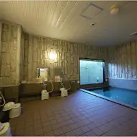 น้ำพุร้อนเทียมที่มีหินแอคทีฟแยกชายและหญิง