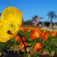 Aloha Garden Tateyama