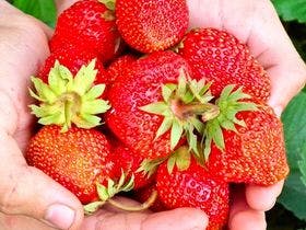 益子舘　里山リゾートホテル