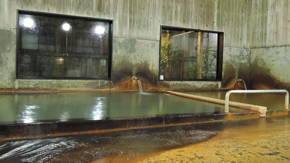 Suwa Onsen Suwa no Yu