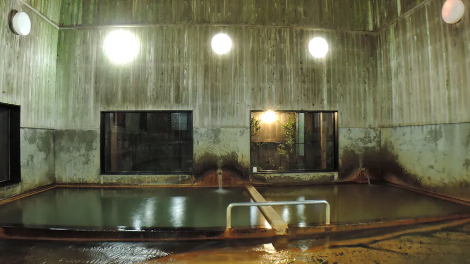 Suwa Onsen Suwa no Yu