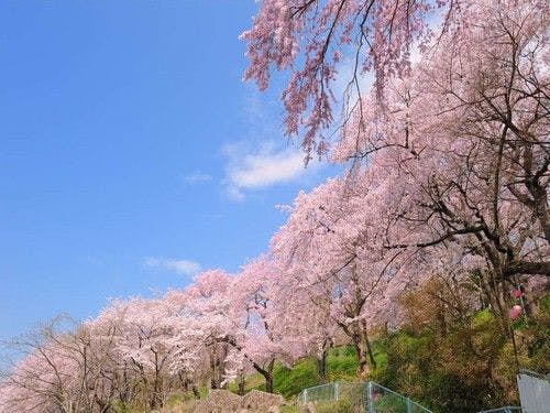 บ้านผู้สูงอายุ - สถานที่ท่องเที่ยวใกล้เคียง