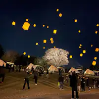 겨울 밤하늘에 랜턴을