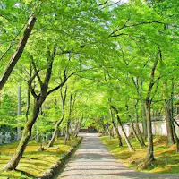 Hōgon-in (kehijauan segar)