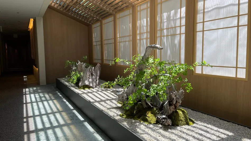 Minami Aso Hakusui Onsen Yume Shizuku