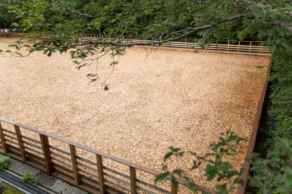 Pet-Friendly Accommodation CARO FORESTA Nasu Kogen VOLPE