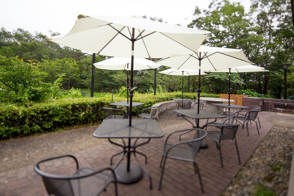 Pet-Friendly Accommodation CARO FORESTA Nasu Kogen VOLPE